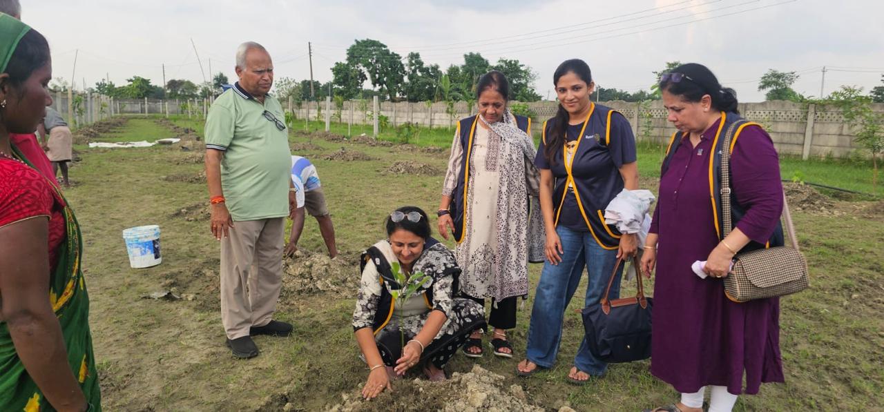 Tree Plantation- Phase 3