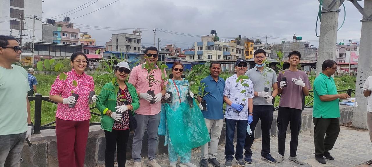 Tree Plantation