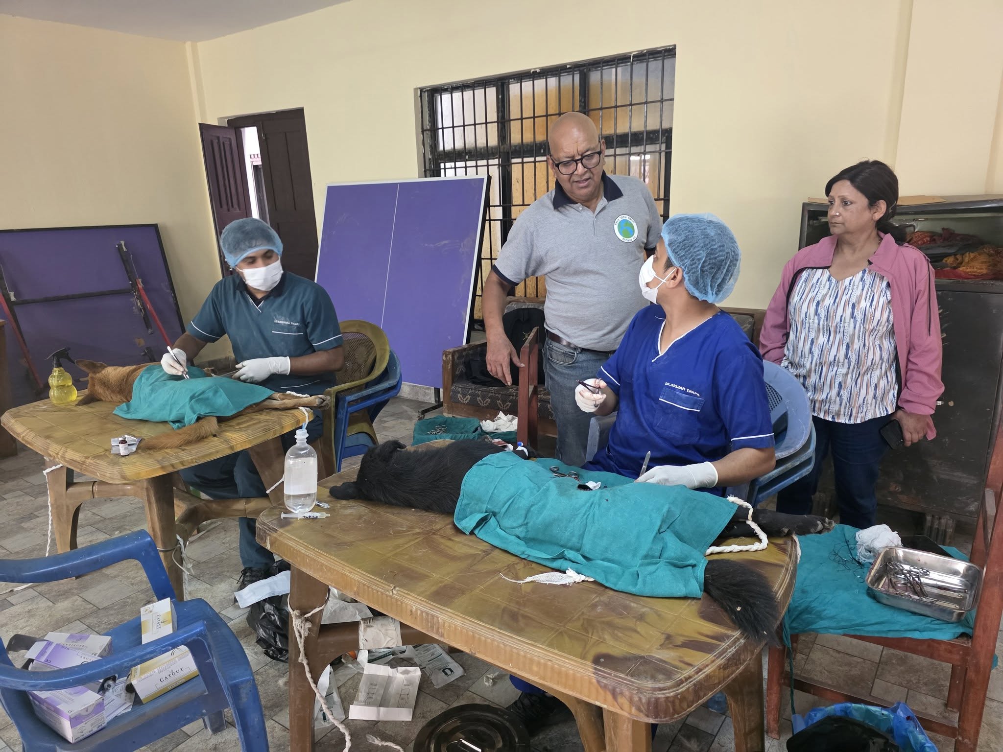 World Rabies Day 2026 — Caring for Animals, Protecting Communities 🐾