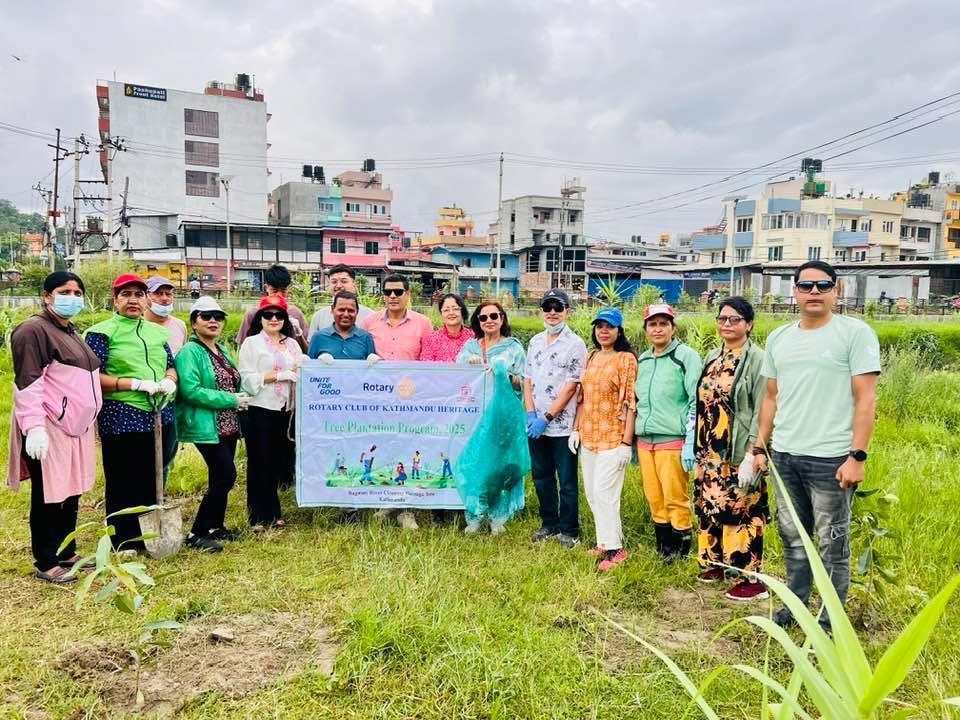 Tree Plantation
