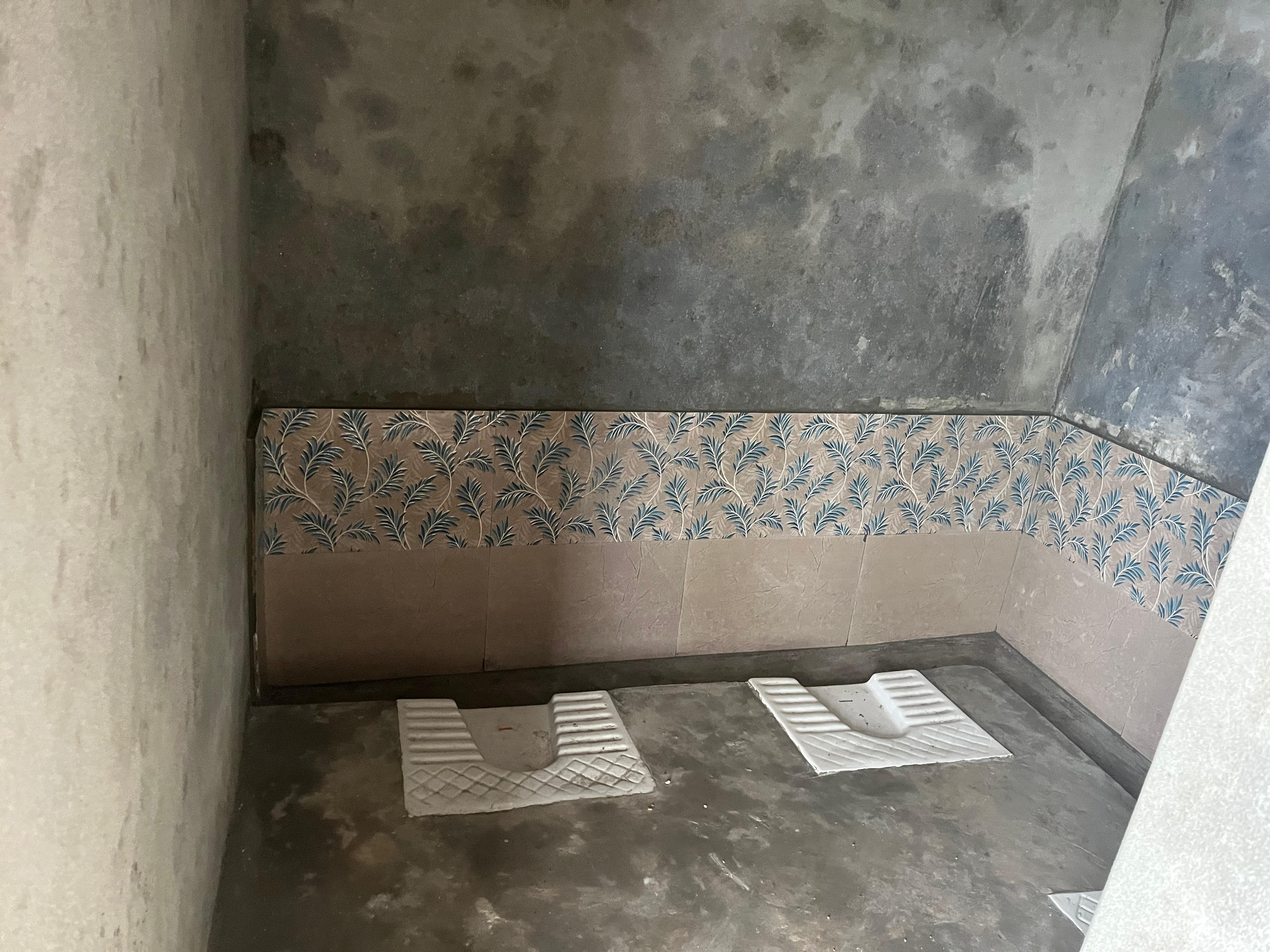 Girls Toilet Project : Shree Dhawalagiri Birendra Secondary School, Baglung