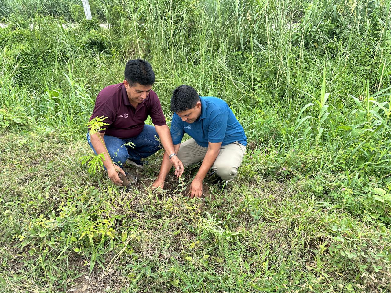 Rotary  nation wide tree Plantation program