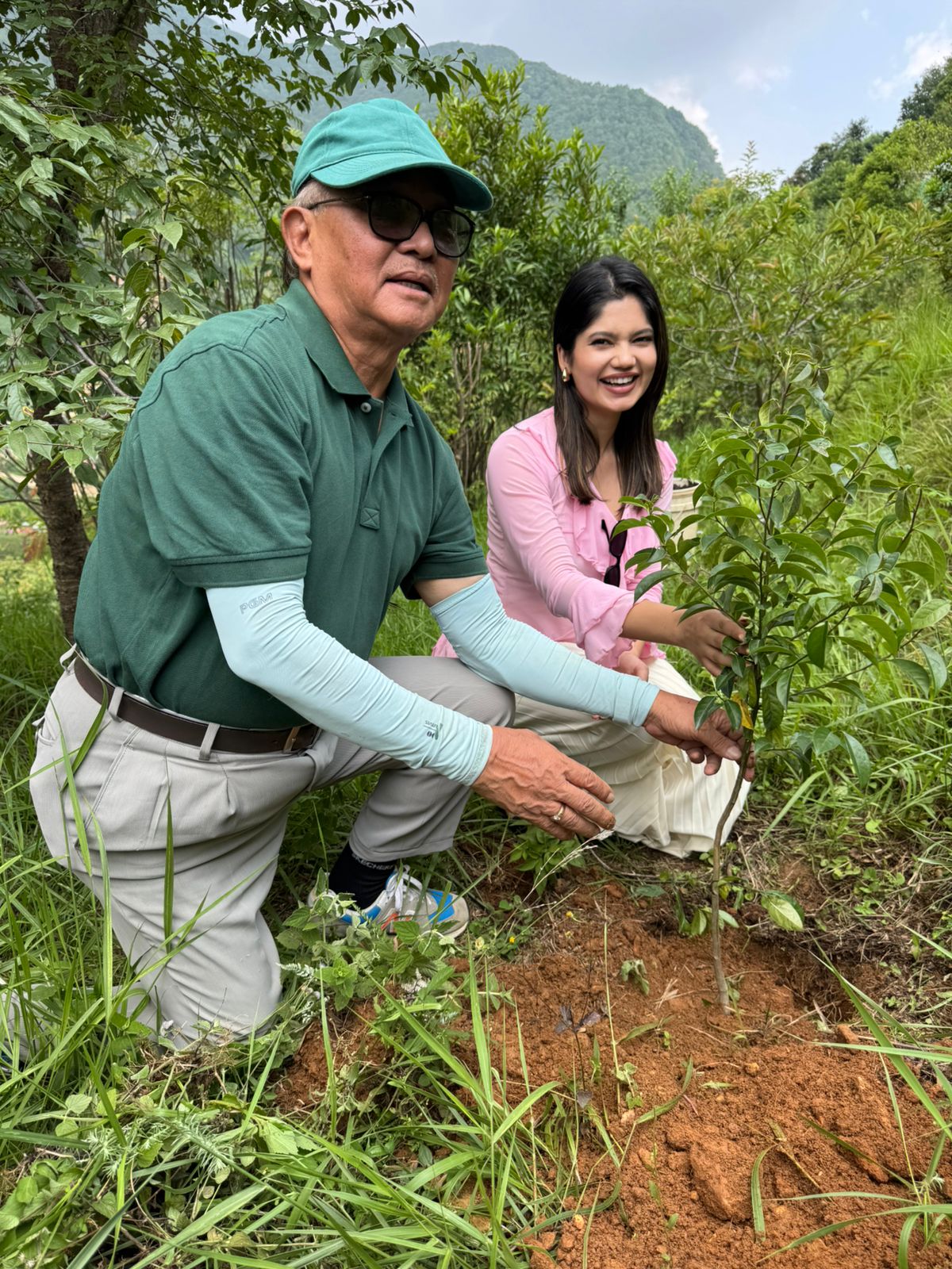 Tree Plantation