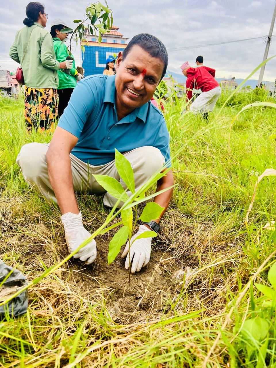 Tree Plantation