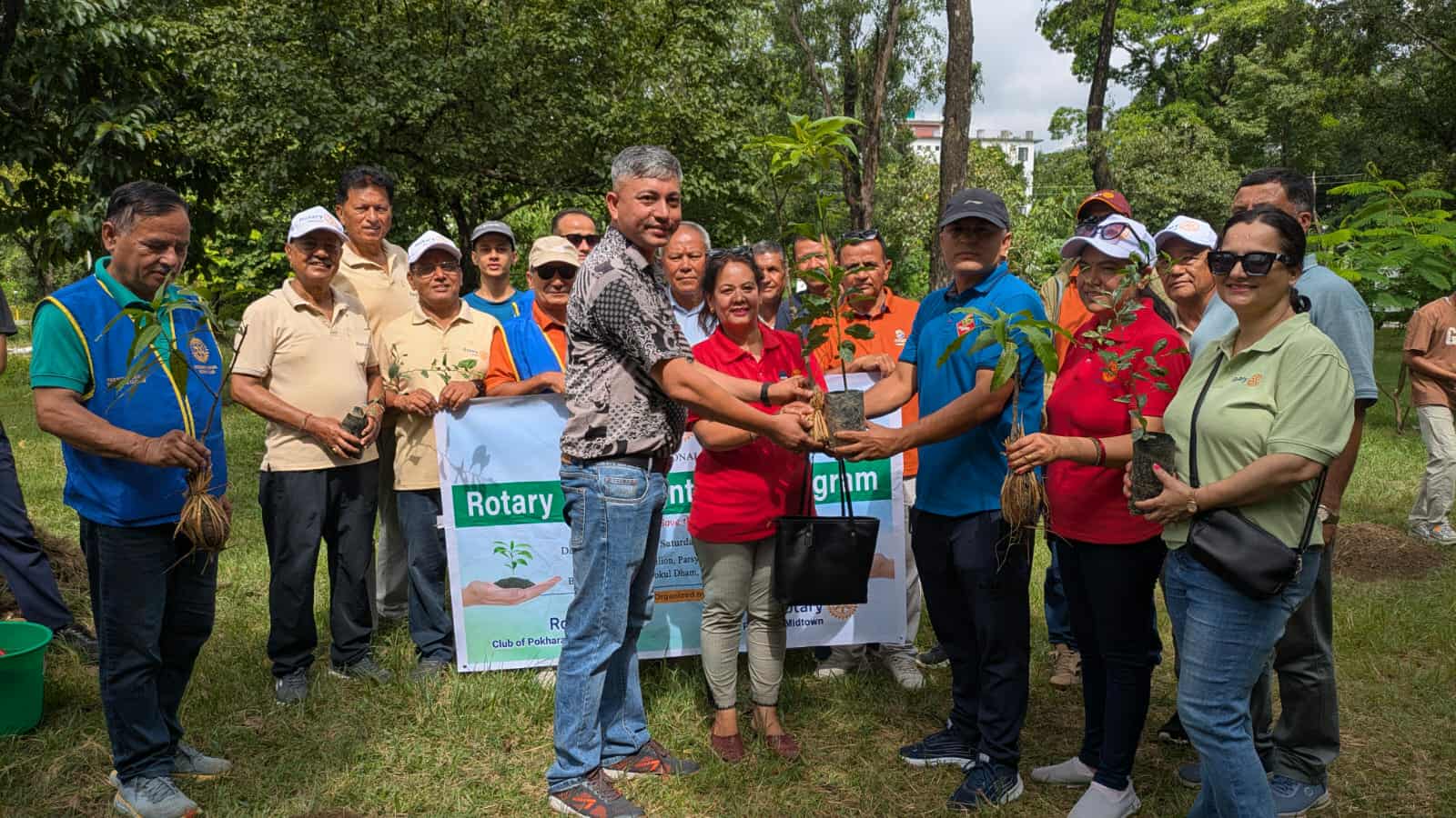 Tree Plantation