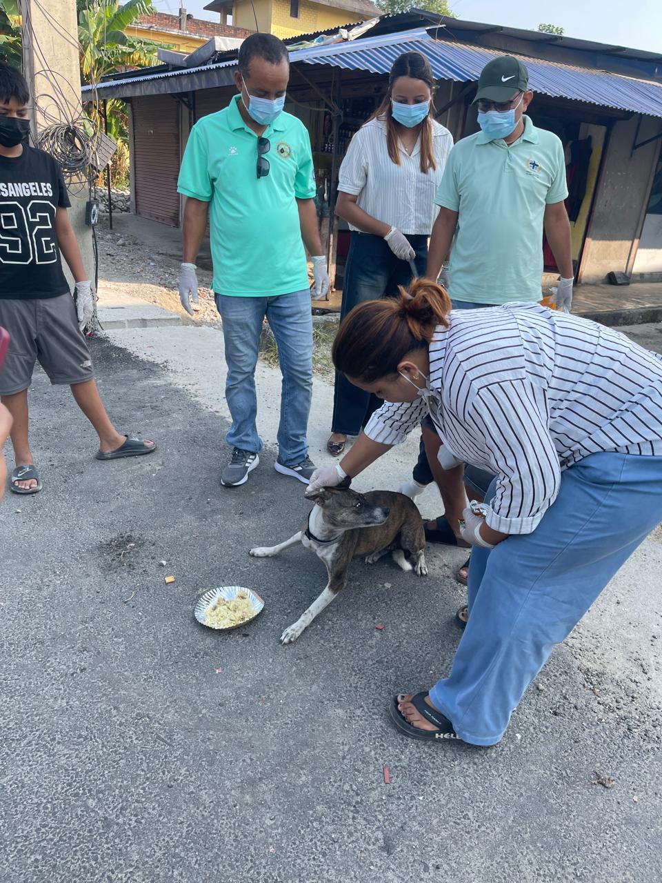 Vaccination, Feeding and Reflective Collar Distribution on Kukur Tihar