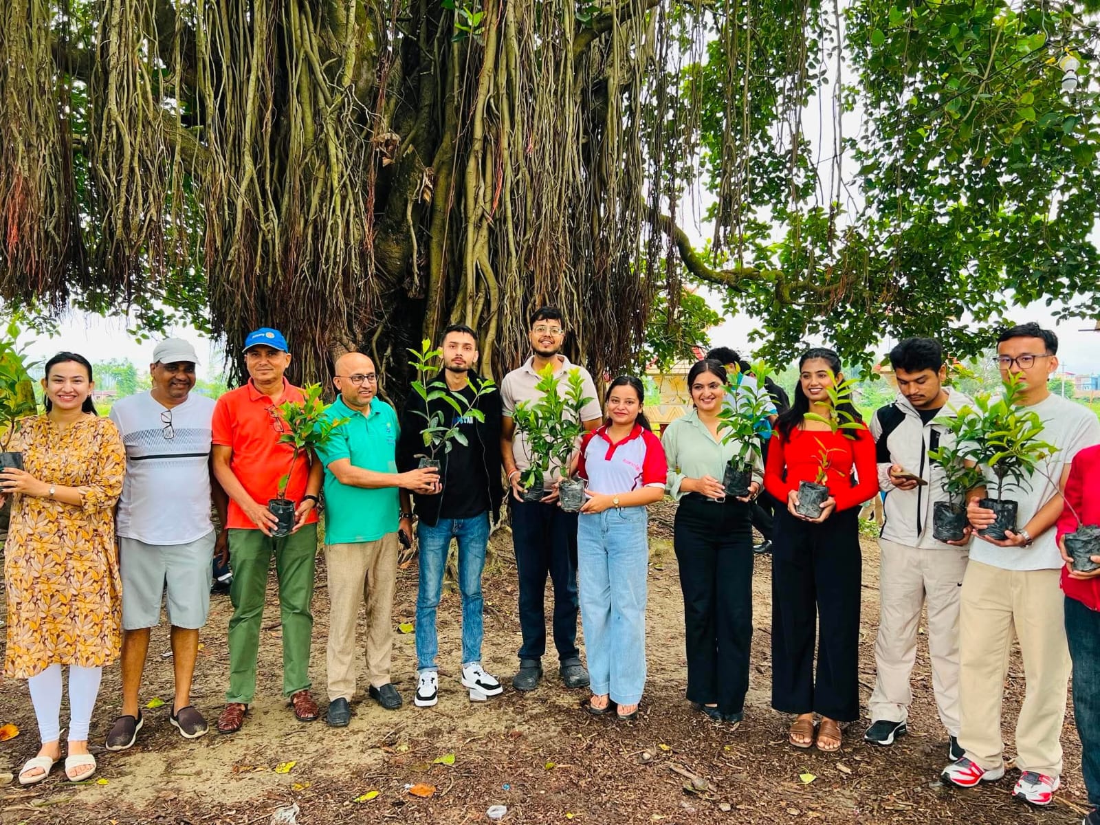 Plantation  Of Memory Phase 1