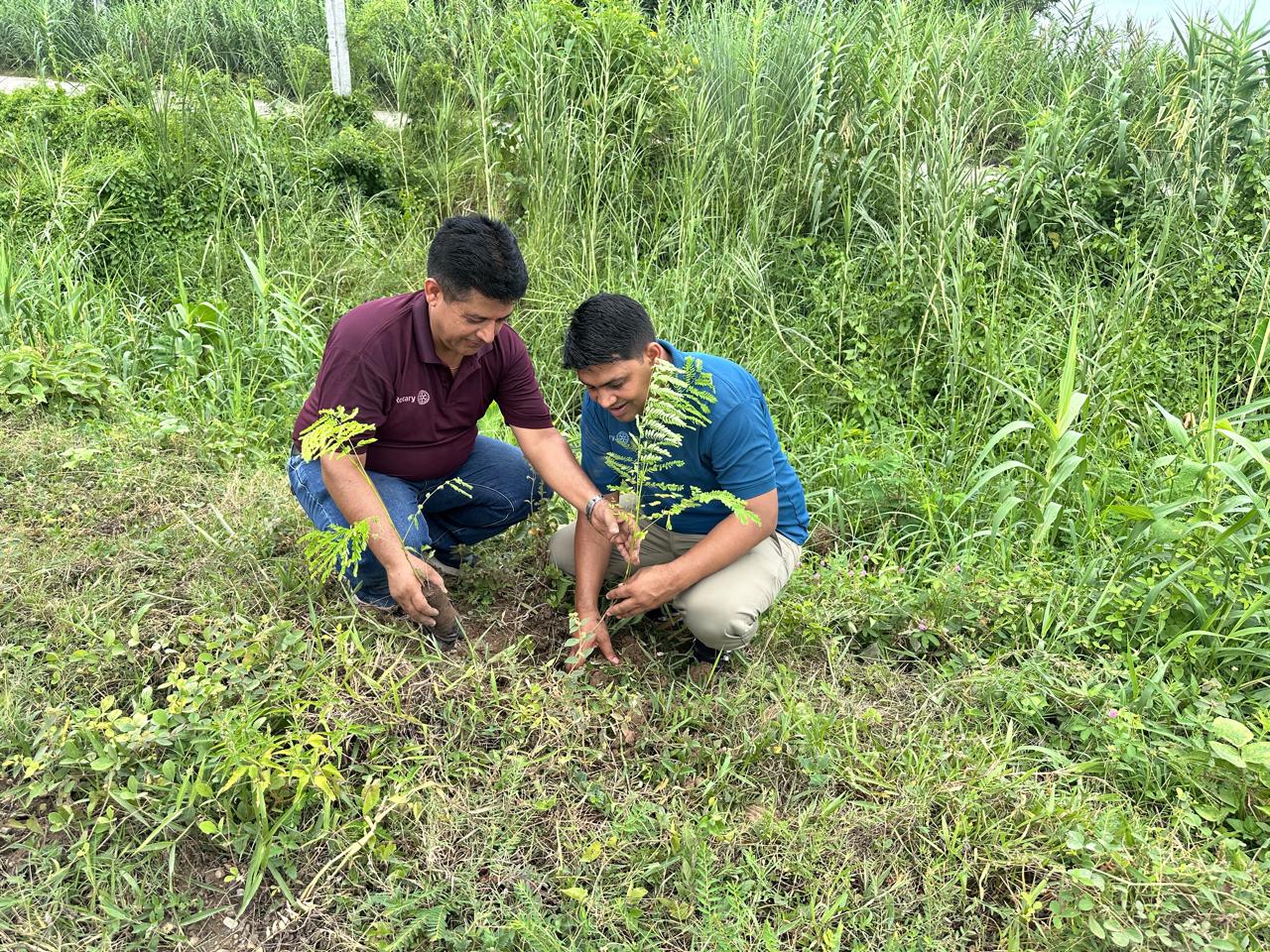 Rotary  nation wide tree Plantation program