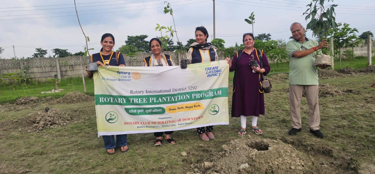 Tree Plantation- Phase 3