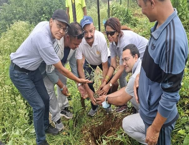 Tree Plantation